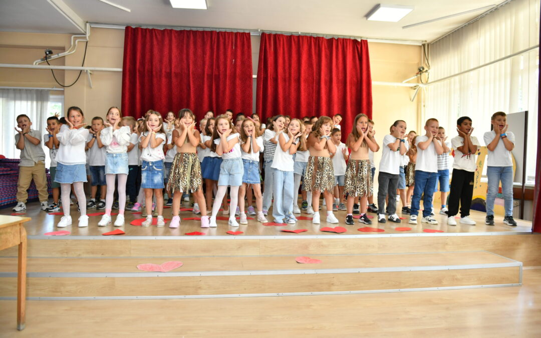 foto.kinggrocka@gmail.com 0611068996