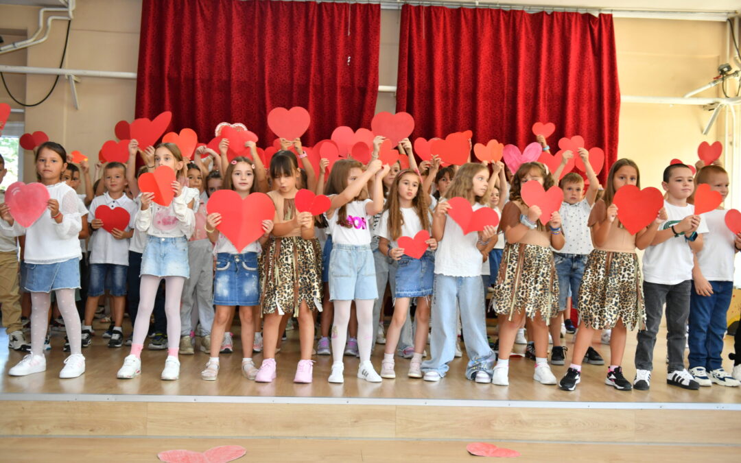 foto.kinggrocka@gmail.com 0611068996