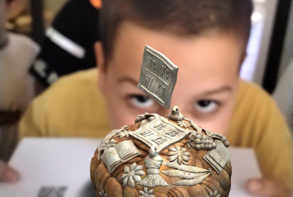 IMG-e8d8a0a0e5d988a292fa3b0b570bc698-V