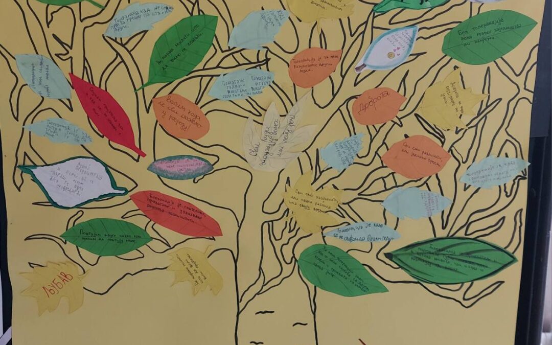 IMG-c57a18559d4f3c625d9d9f379c10a96b-V