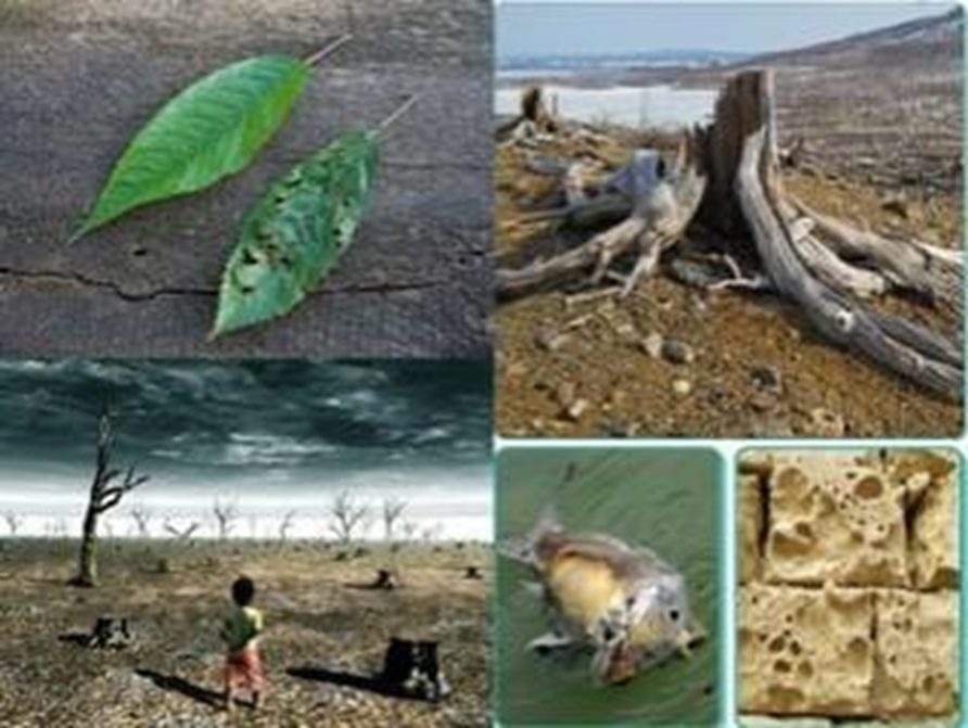 Планета Земља је једина наша животна средина и зато сачувајмо је!