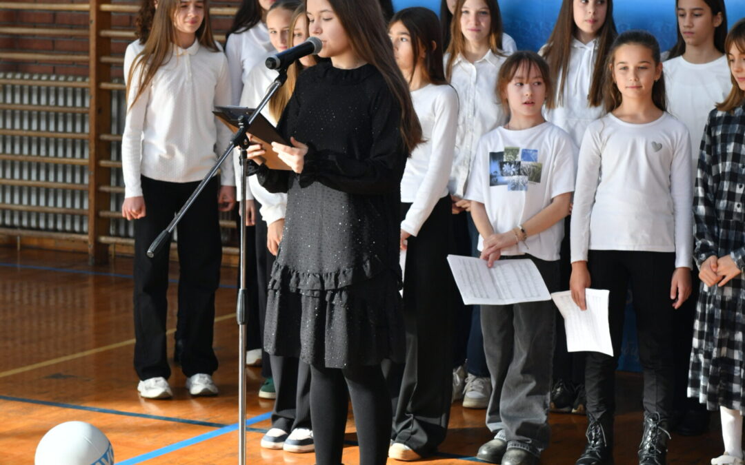 foto.kinggrocka@gmail.com 0611068996