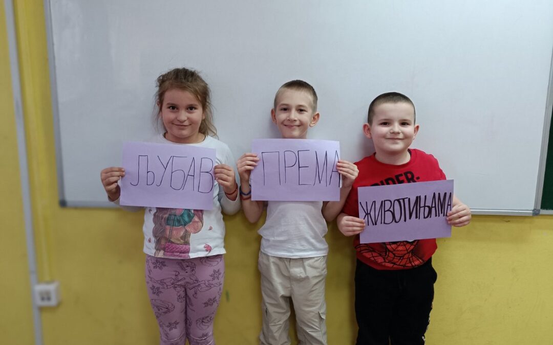 IMG-9964f3663179b749e9e75dfd894b0168-V